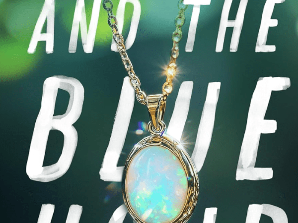 Norma and the Blue Hour by Chris Delyani (Book Review&nbsp;#2195)