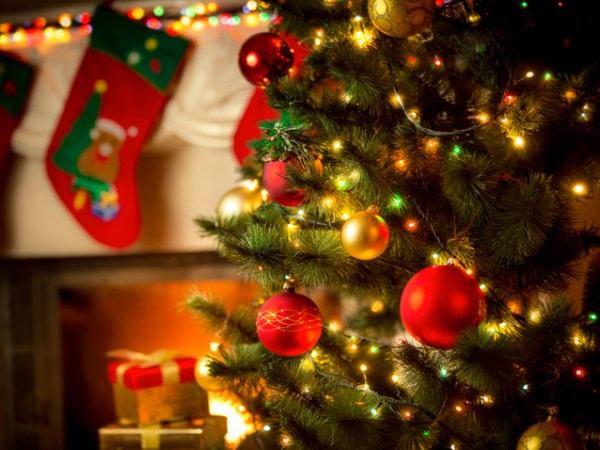 🎄 Merry Christmas & Happy Holidays! 🎄 ✨ Celebrating 10 Years Together&nbsp;✨