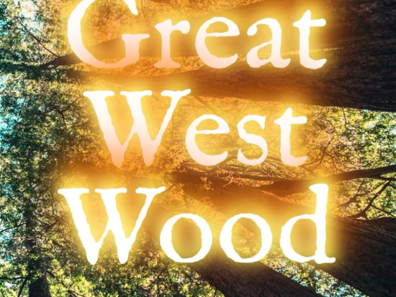 The Great West Wood by Philip Palmer (Book Review&nbsp;#2245)