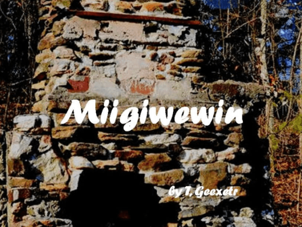 Miigiwewin by T. Geezer (Book Review&nbsp;#2278)
