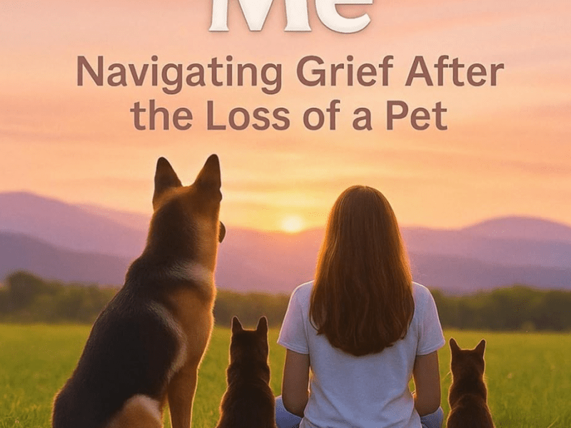 Still With Me – Navigating Grief After the Loss of a Pet by Liora Wyn (Book Review&nbsp;#2332)