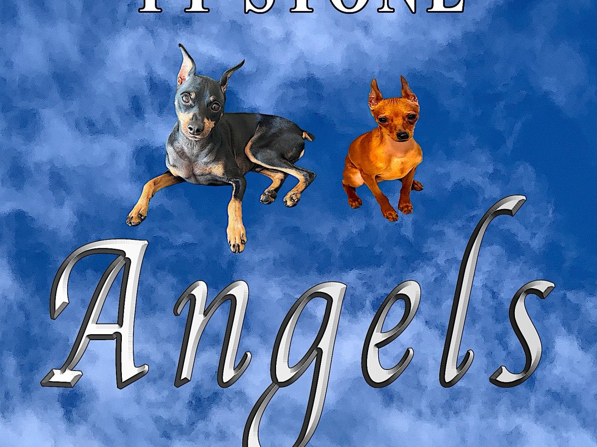 ANGELS By Tyler Stone (Book Review&nbsp;#2362)