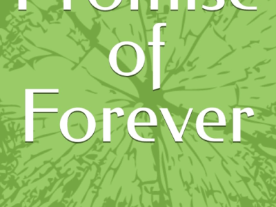The Promise Jar By H. K. Sharma (Book Review&nbsp;#2387)